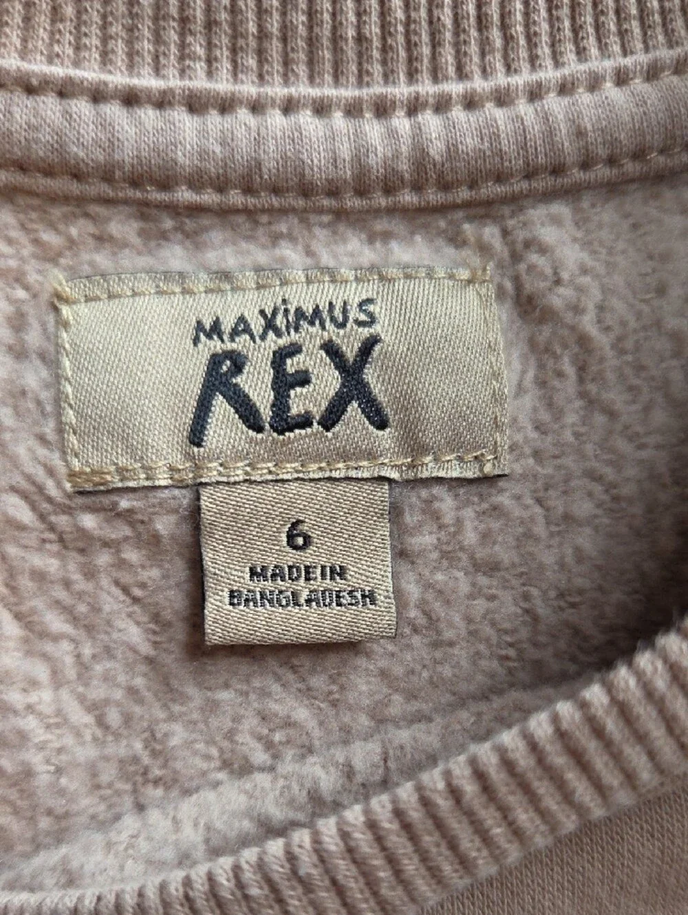 Kids' Legend T-Rex Crewneck Sweatshirt - Beige & Green